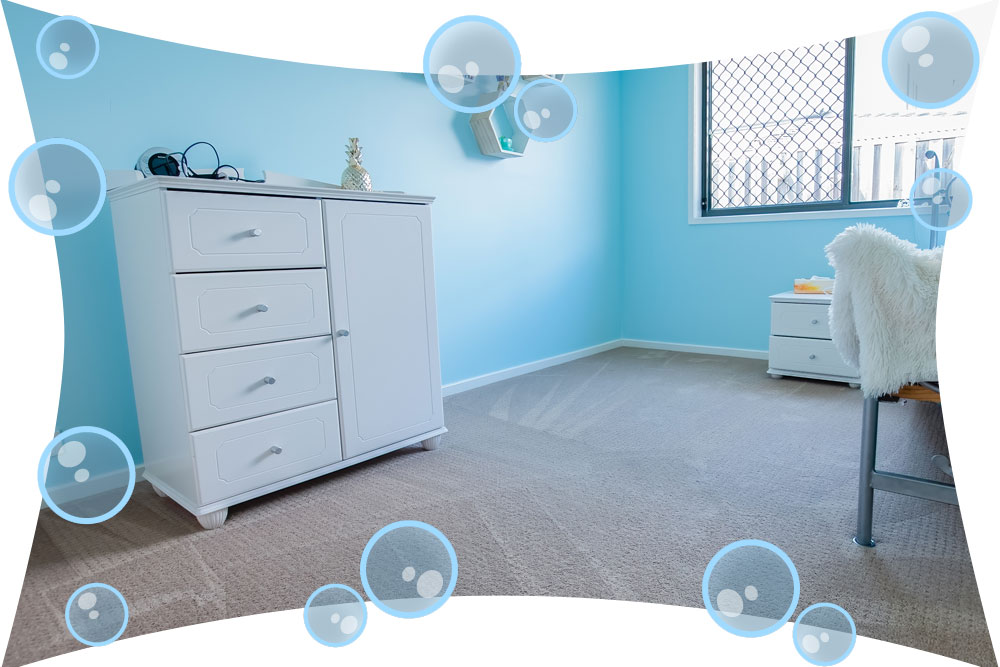 Contact Spotless Carpet Cleaning Service
